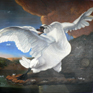 The Threatened Swan - Jan Asselijn